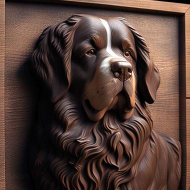 3D model Bernese Mountain dog (STL)